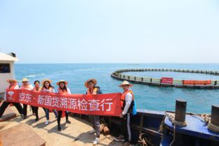 京東出臺最嚴金鯧魚檢測標準 管控指標超140項，助推畜牧漁業飼料升級